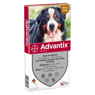 Advantix 600 4 Pipetten 1 Advantix 600 4 Pipetten