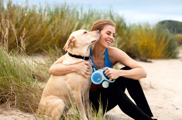 Gazebo Parts Direct Sales Store -Huisdierbenodigdheden Verkoop 2024 3013 frida newcomfort2020 blue beach