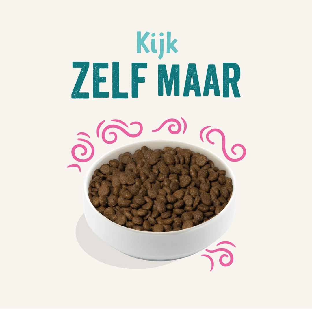 Edgard & Cooper Adult Plantaardig Rode Biet 2,5 Kg 2 Edgard & Cooper Adult Plantaardig Rode Biet 2,5 Kg - Afbeelding 2