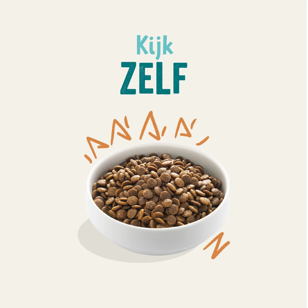 Edgard & Cooper Hondenvoer Adult Kip 12 Kg 4 Edgard & Cooper Hondenvoer Adult Kip 12 Kg - Afbeelding 4