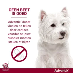 Advantix 600 4 Pipetten 7 Advantix 600 4 Pipetten -Huisdierbenodigdheden Verkoop 2024 Advantix geenbeetisgoed 4