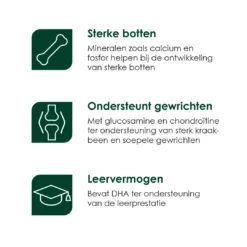 Premium Care Original Puppy Large Chicken & Rice 12 Kg -Huisdierbenodigdheden Verkoop 2024 Puppy Large iconen