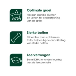 Premium Care Original Puppy Medium Chicken & Rice 12 Kg -Huisdierbenodigdheden Verkoop 2024 Puppy Medium iconen