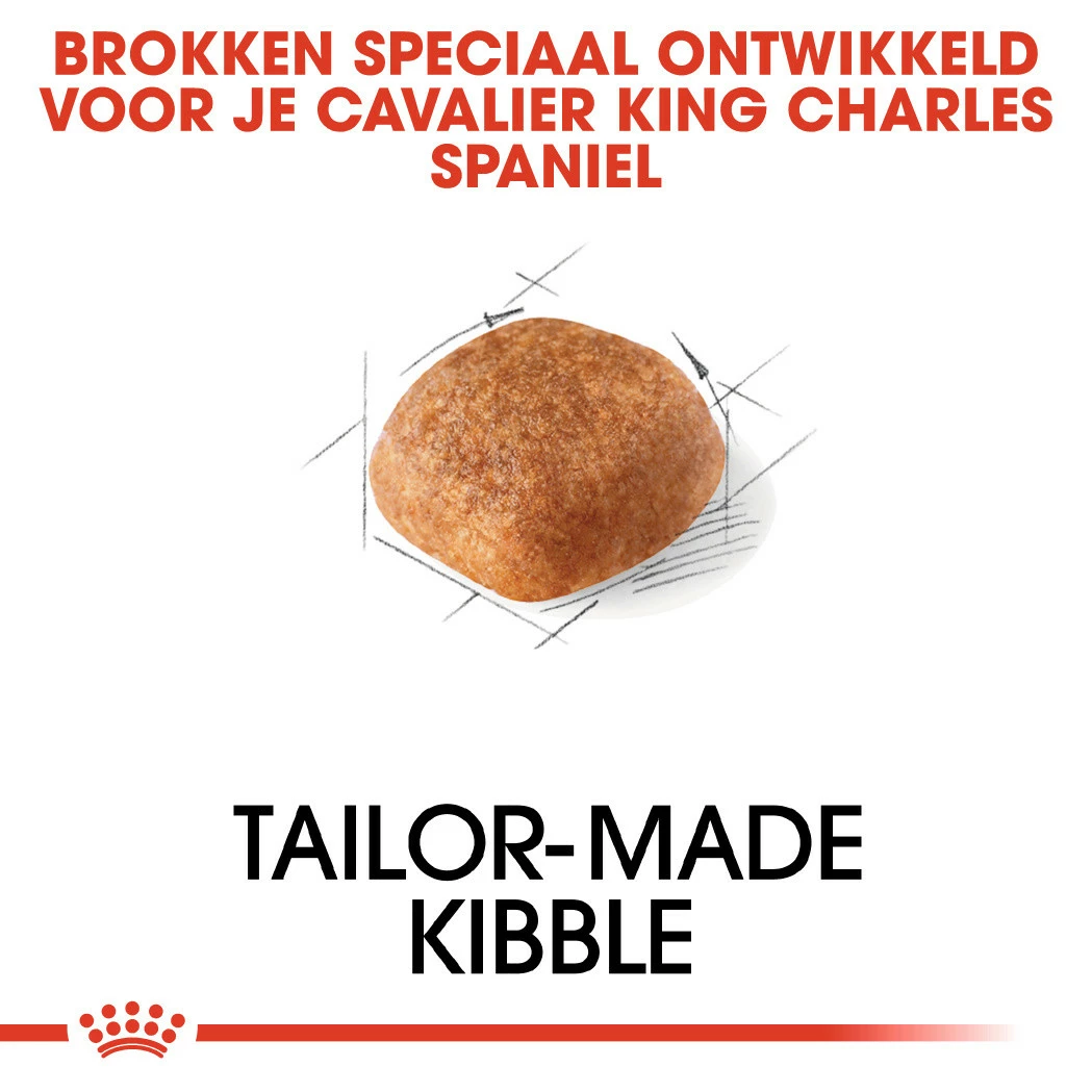 Royal Canin Hondenvoer Cavalier King Charles Adult 7,5 Kg 2 Royal Canin Hondenvoer Cavalier King Charles Adult 7,5 Kg - Afbeelding 2