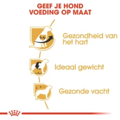 Royal Canin Hondenvoer Cavalier King Charles Adult 7,5 Kg 5 Royal Canin Hondenvoer Cavalier King Charles Adult 7,5 Kg -Huisdierbenodigdheden Verkoop 2024 RJ1T49 I