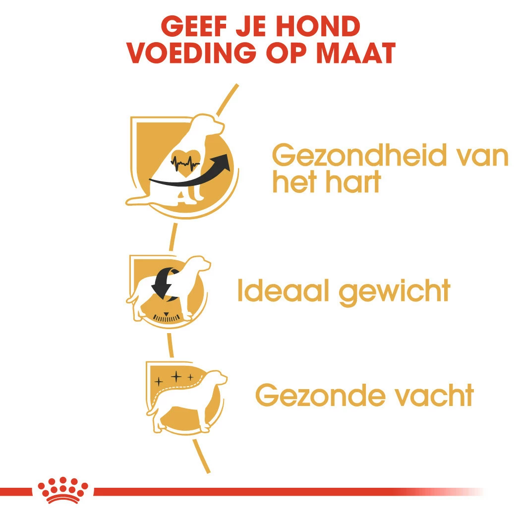 Royal Canin Hondenvoer Cavalier King Charles Adult 7,5 Kg 3 Royal Canin Hondenvoer Cavalier King Charles Adult 7,5 Kg - Afbeelding 3