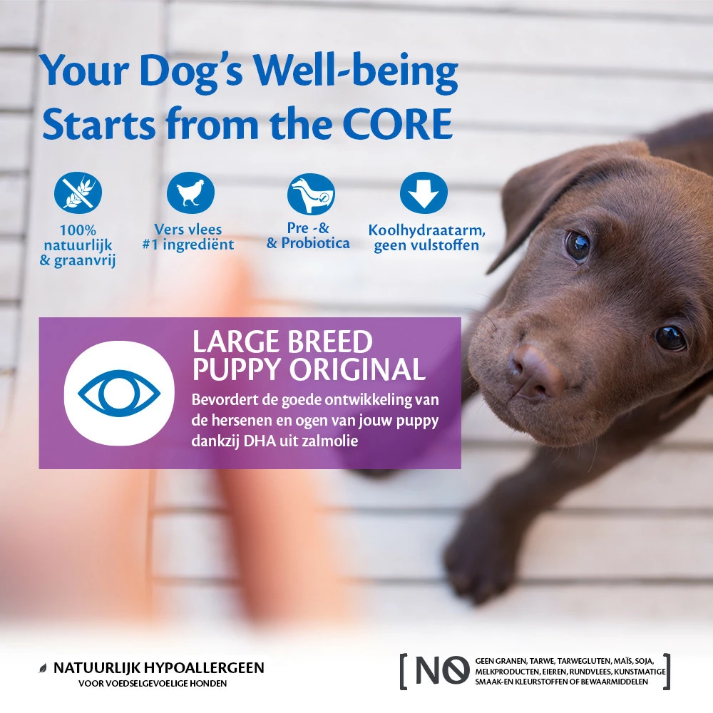 Wellness CORE Hondenvoer Large Breed Puppy 10 Kg - Afbeelding 2