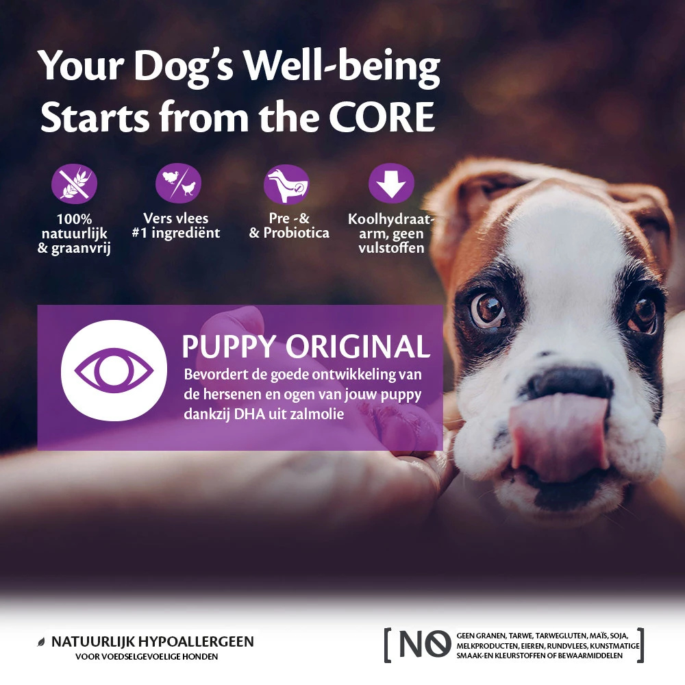 Wellness CORE Hondenvoer Puppy 1,5 Kg 2 Wellness CORE Hondenvoer Puppy 1,5 Kg - Afbeelding 2