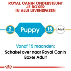 Royal Canin Hondenvoer Boxer Puppy 12 Kg 7 Royal Canin Hondenvoer Boxer Puppy 12 Kg -Huisdierbenodigdheden Verkoop 2024 royal canin boxer junior pup hond boxer hero image 9 1