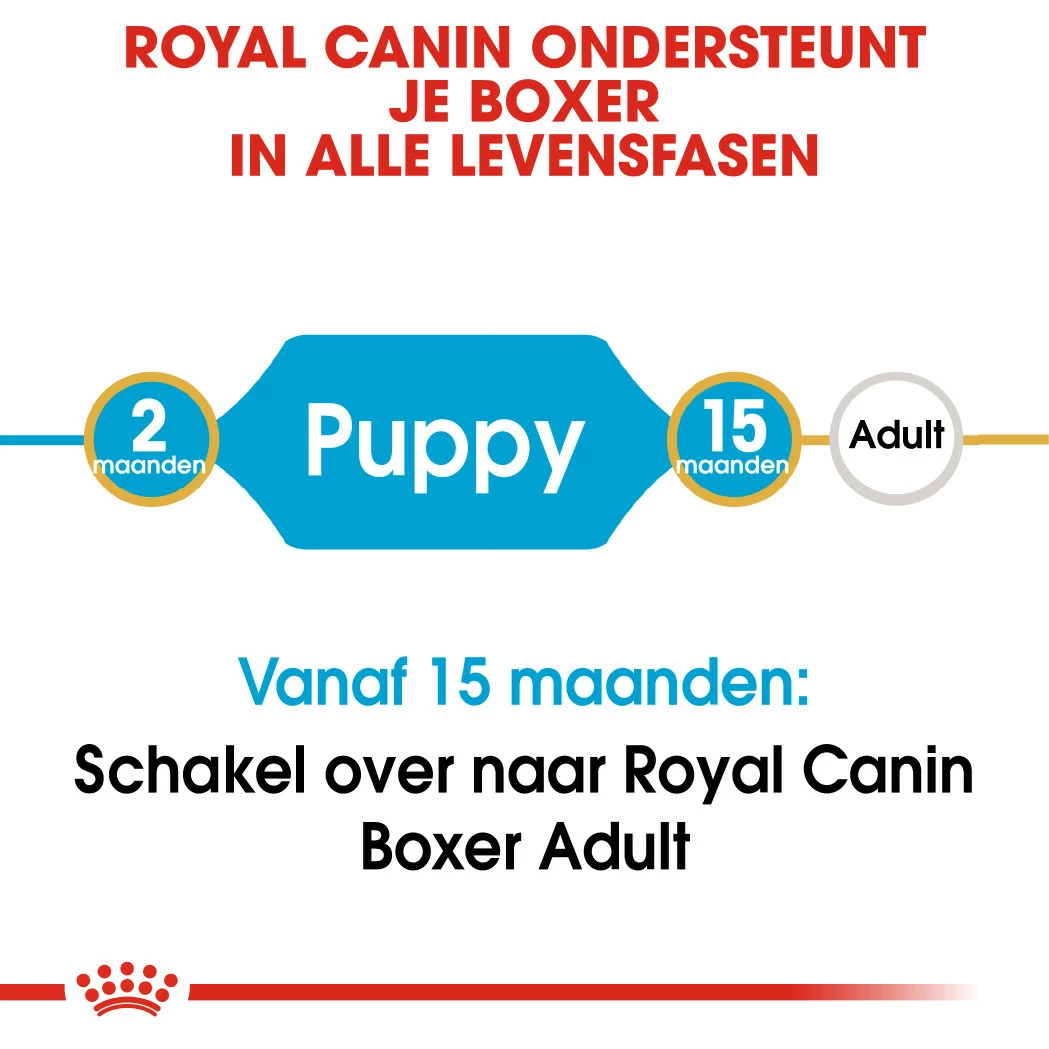 Royal Canin Hondenvoer Boxer Puppy 12 Kg 4 Royal Canin Hondenvoer Boxer Puppy 12 Kg - Afbeelding 4