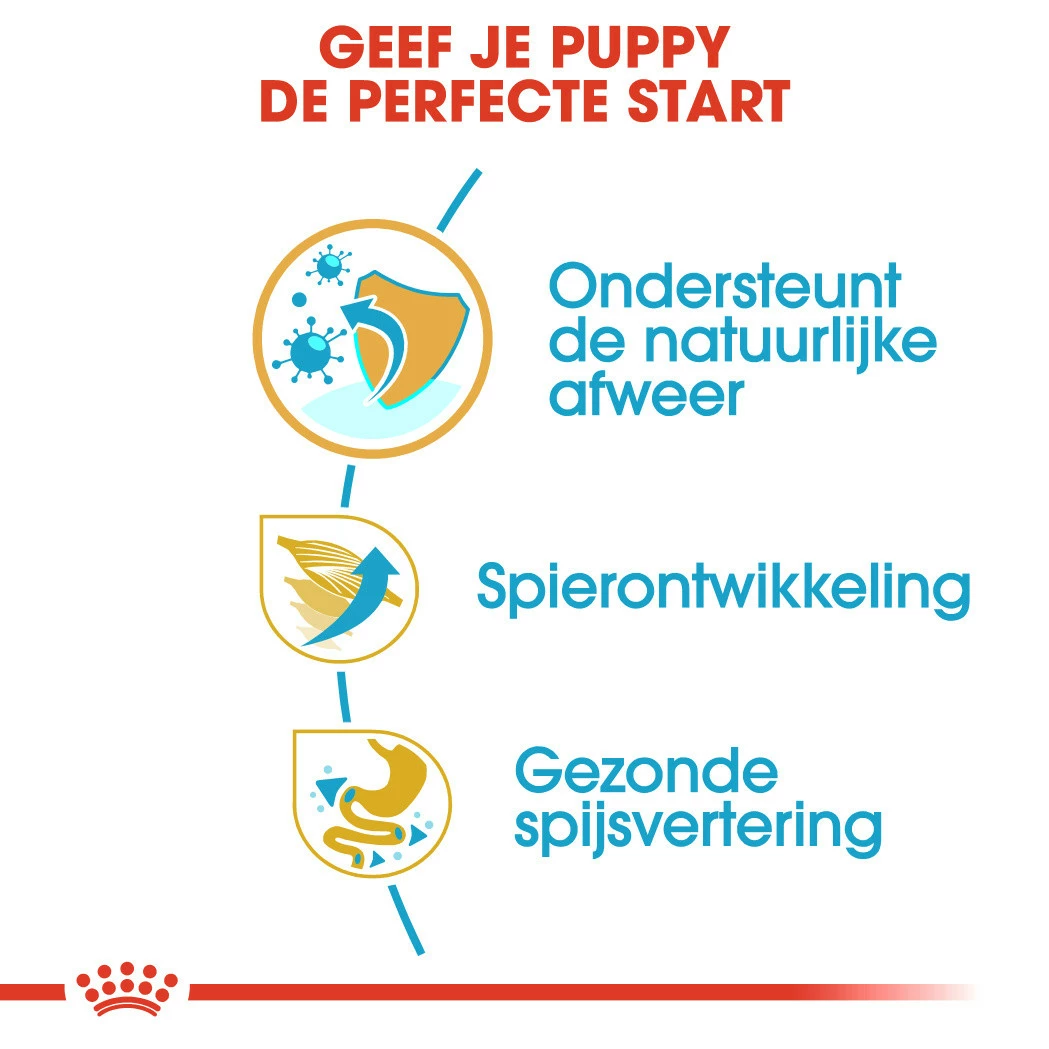 Royal Canin Hondenvoer Boxer Puppy 12 Kg 3 Royal Canin Hondenvoer Boxer Puppy 12 Kg - Afbeelding 3