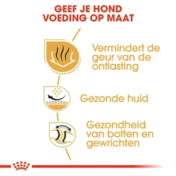 Royal Canin Hondenvoer Bulldog Adult 3 Kg 5 Royal Canin Hondenvoer Bulldog Adult 3 Kg -Huisdierbenodigdheden Verkoop 2024 royal canin bulldog adult volwassen hond bulldog vanaf 12 maanden hero usp 1