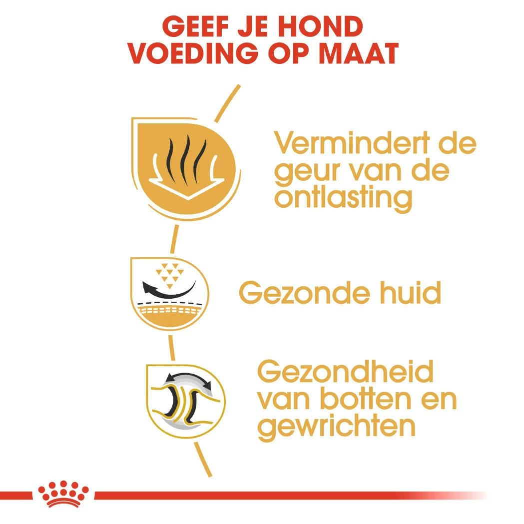 Royal Canin Hondenvoer Bulldog Adult 3 Kg 3 Royal Canin Hondenvoer Bulldog Adult 3 Kg - Afbeelding 3