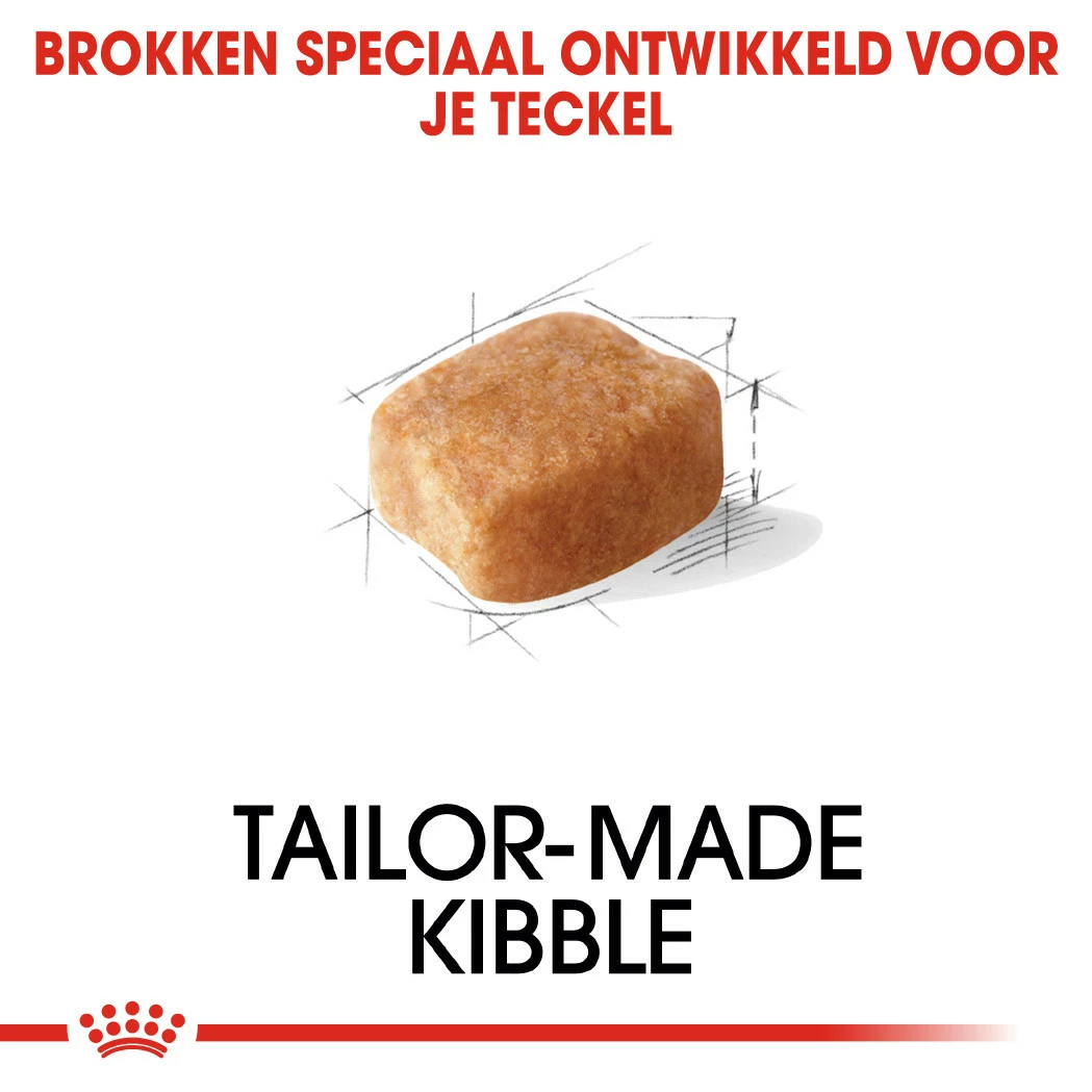 Royal Canin Hondenvoer Dachshund Adult 7,5 Kg 2 Royal Canin Hondenvoer Dachshund Adult 7,5 Kg - Afbeelding 2