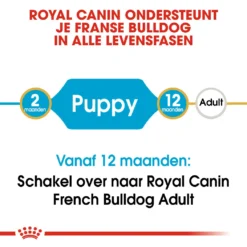 Royal Canin Hondenvoer French Bulldog Puppy 3 Kg 7 Royal Canin Hondenvoer French Bulldog Puppy 3 Kg -Huisdierbenodigdheden Verkoop 2024 royal canin french bulldog junior pup hond franse bulldog hero image 9
