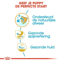 Royal Canin Hondenvoer French Bulldog Puppy 3 Kg 6 Royal Canin Hondenvoer French Bulldog Puppy 3 Kg -Huisdierbenodigdheden Verkoop 2024 royal canin french bulldog junior pup hond franse bulldog hero usp