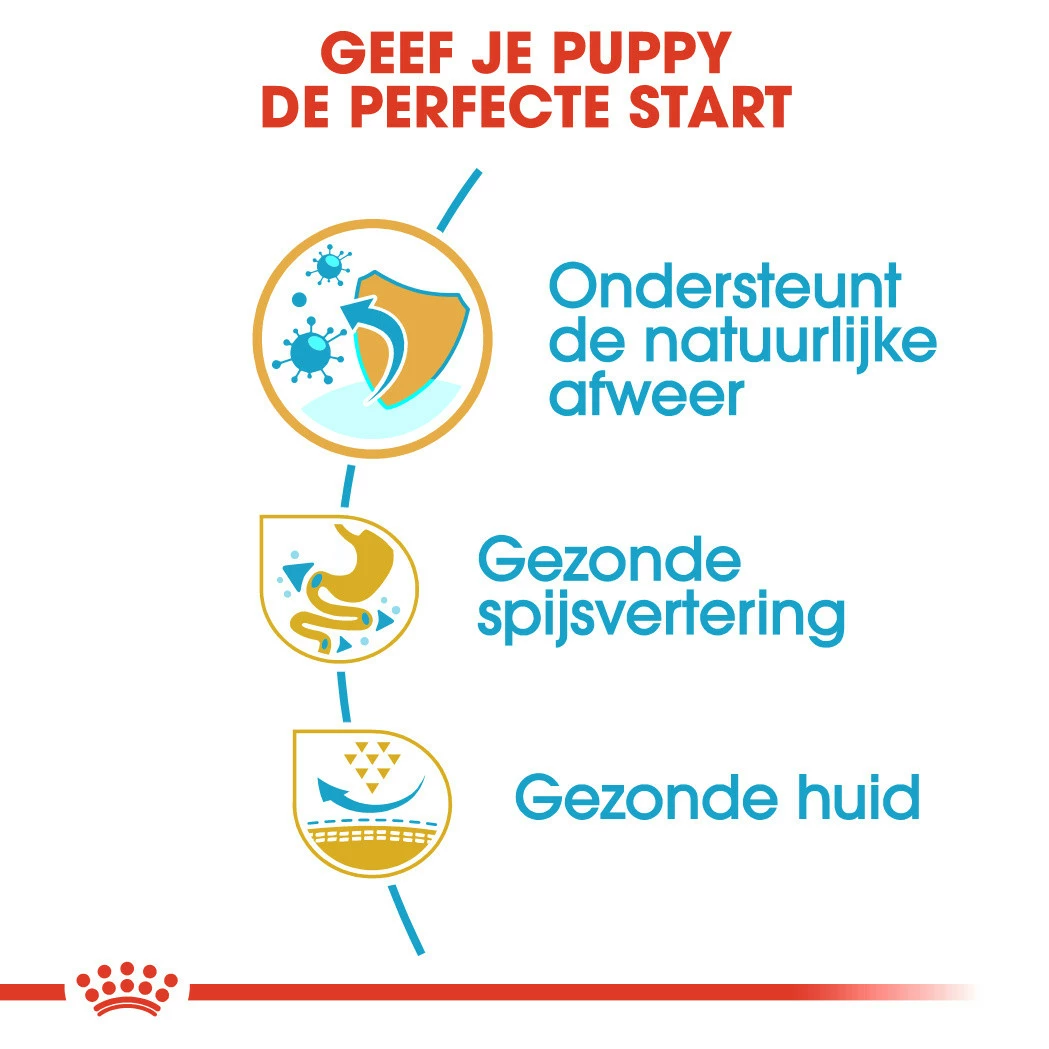 Royal Canin Hondenvoer French Bulldog Puppy 3 Kg 3 Royal Canin Hondenvoer French Bulldog Puppy 3 Kg - Afbeelding 3