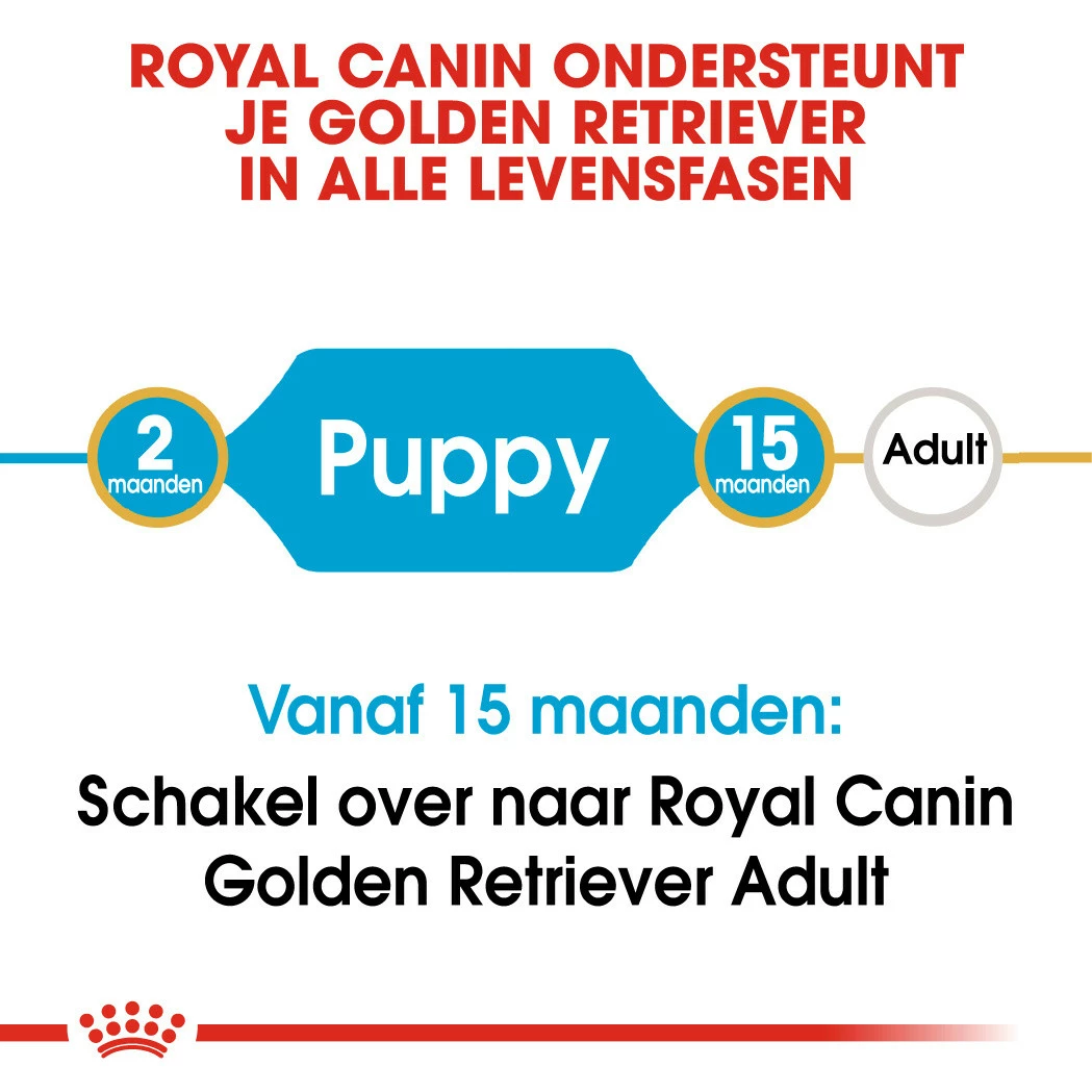 Royal Canin Hondenvoer Golden Retriever Puppy 3 Kg 4 Royal Canin Hondenvoer Golden Retriever Puppy 3 Kg - Afbeelding 4
