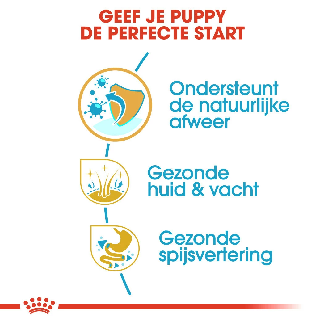 Royal Canin Hondenvoer Golden Retriever Puppy 12 Kg 3 Royal Canin Hondenvoer Golden Retriever Puppy 12 Kg - Afbeelding 3
