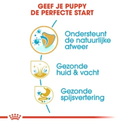 Royal Canin Hondenvoer Golden Retriever Puppy 3 Kg 6 Royal Canin Hondenvoer Golden Retriever Puppy 3 Kg -Huisdierbenodigdheden Verkoop 2024 royal canin golden retriever junior pup hond golden retriever hero usp