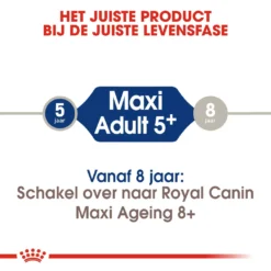 Royal Canin Hondenvoer Maxi Adult 5+ 4 Kg -Huisdierbenodigdheden Verkoop 2024 royal canin maxi adult 5plus volwassen hond grote hondenrassen vanaf 5 jaar hero image 9 1