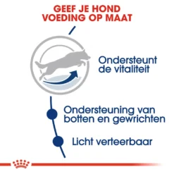 Royal Canin Hondenvoer Maxi Adult 5+ 4 Kg -Huisdierbenodigdheden Verkoop 2024 royal canin maxi adult 5plus volwassen hond grote hondenrassen vanaf 5 jaar hero usp 1