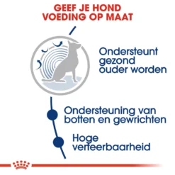 Royal Canin Hondenvoer Maxi Ageing 8+ 3 Kg 6 Royal Canin Hondenvoer Maxi Ageing 8+ 3 Kg -Huisdierbenodigdheden Verkoop 2024 royal canin maxi ageing 8plus senior hond oudere hond vanaf 8 jaar hero usp 1