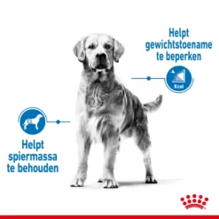 Royal Canin Hondenvoer Light Weight Care Maxi 12 Kg -Huisdierbenodigdheden Verkoop 2024 royal canin maxi light weight care volwassen hond grote hondenrassen hero image 8 1