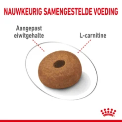 Gazebo Parts Direct Sales Store -Huisdierbenodigdheden Verkoop 2024 royal canin maxi light weight care volwassen hond grote hondenrassen hero kibble 1