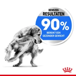 Royal Canin Hondenvoer Light Weight Care Maxi 12 Kg -Huisdierbenodigdheden Verkoop 2024 royal canin maxi light weight care volwassen hond grote hondenrassen hero usp 1