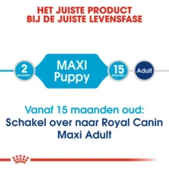 Royal Canin Hondenvoer Maxi Puppy 4 Kg 7 Royal Canin Hondenvoer Maxi Puppy 4 Kg -Huisdierbenodigdheden Verkoop 2024 royal canin maxi puppy pup hond grote hondenrassen hero image 8