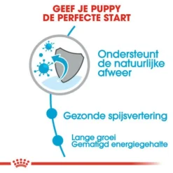 Royal Canin Hondenvoer Maxi Puppy 15 Kg 6 Royal Canin Hondenvoer Maxi Puppy 15 Kg -Huisdierbenodigdheden Verkoop 2024 royal canin maxi puppy pup hond grote hondenrassen hero usp 1