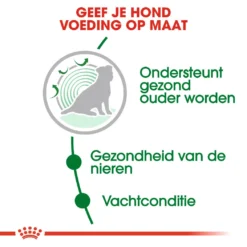 Royal Canin Hondenvoer Mini Ageing 12+ 1,5 Kg 5 Royal Canin Hondenvoer Mini Ageing 12+ 1,5 Kg -Huisdierbenodigdheden Verkoop 2024 royal canin mini ageing 12plus senior hond oudere hond vanaf 12 jaar hero usp