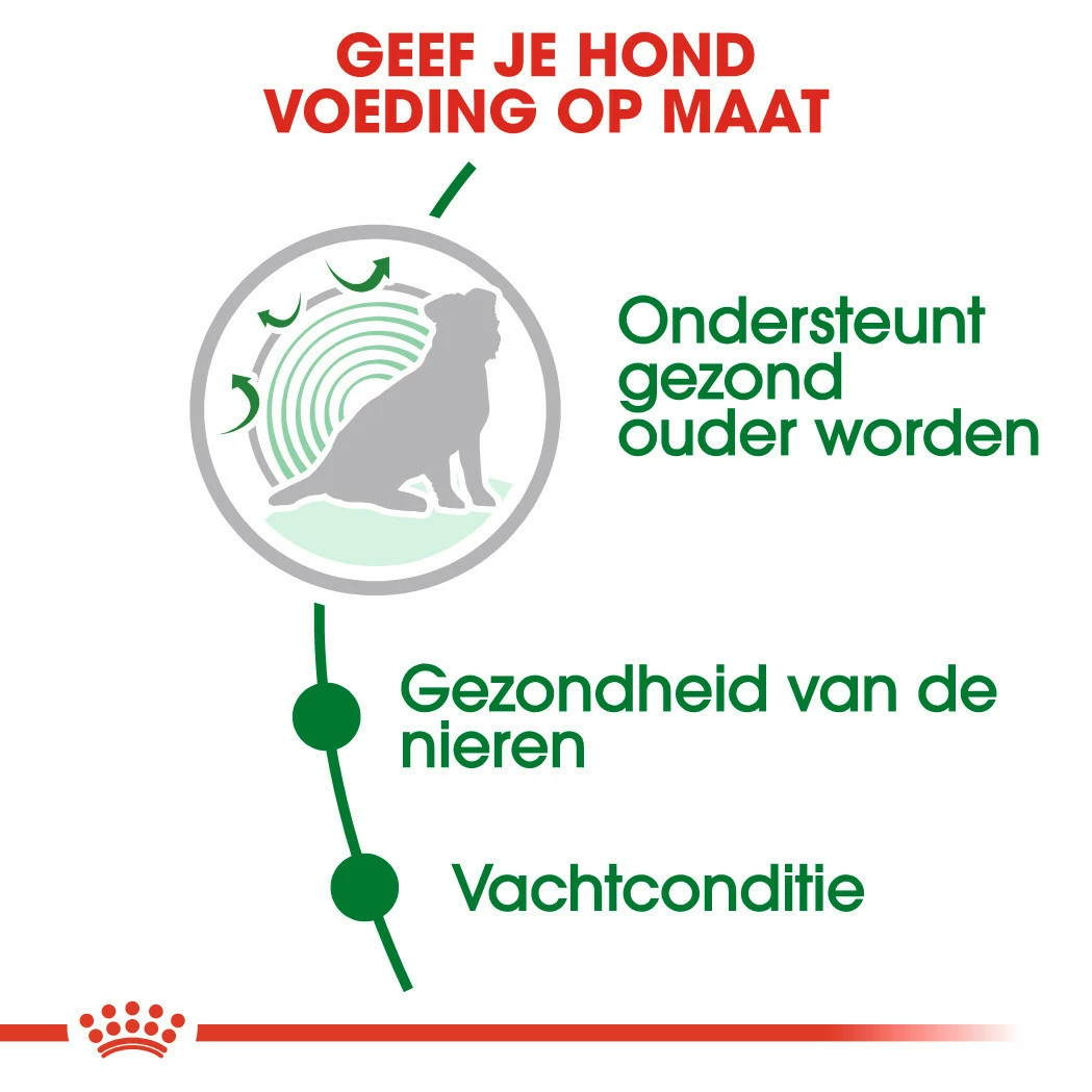 Royal Canin Hondenvoer Mini Ageing 12+ 1,5 Kg 3 Royal Canin Hondenvoer Mini Ageing 12+ 1,5 Kg - Afbeelding 3