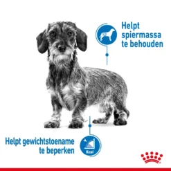 Royal Canin Hondenvoer Light Weight Care Mini 8 Kg -Huisdierbenodigdheden Verkoop 2024 royal canin mini light weight care volwassen hond gezond gewicht kleine hondenrassen hero image 8