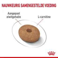 Gazebo Parts Direct Sales Store -Huisdierbenodigdheden Verkoop 2024 royal canin mini light weight care volwassen hond gezond gewicht kleine hondenrassen hero kibble