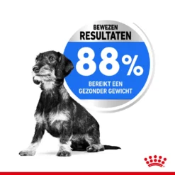 Royal Canin Hondenvoer Light Weight Care Mini 8 Kg -Huisdierbenodigdheden Verkoop 2024 royal canin mini light weight care volwassen hond gezond gewicht kleine hondenrassen hero usp